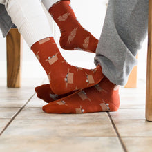 Load image into Gallery viewer, Women's Socks | Orange Cat & Box | Mismatched Socks: Women’s 5 – 10