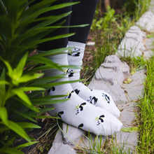 Load image into Gallery viewer, Panda and Bamboo | Women&#39;s Mismatched Socks
