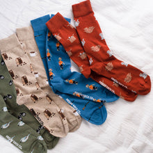 Load image into Gallery viewer, Orange Cat &amp; Box Socks | Unisex | Mismatched Socks
